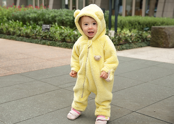 baby goose